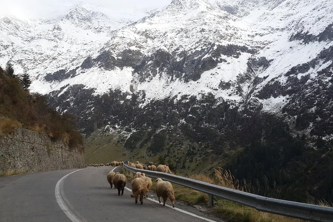 Private 6-Day Dracula Tour in Transylvania from Bucharest - What this six-day route does well