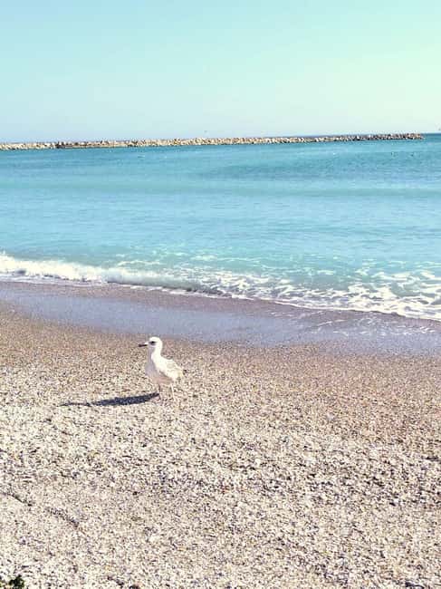 Private Bucharest Tour: Discover Constanța & Black Sea Coast - Is $171 per person a fair price?