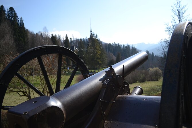 Private Day Tour: Dracula's Castle and Peles Castle - What the guide adds to a private day