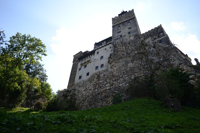 Private Day Tour: Dracula's Castle and Peles Castle - Transport, timing, and the true cost