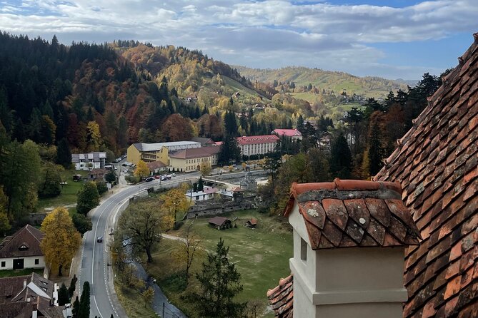 PRIVATE day-trip - Peles Castle, Bran Castle, Brasov - Who should book this experience