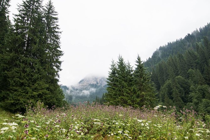 Private Daytrip Hike to Bucegi Mountains - Four hours along Zănoaga’s forest trails