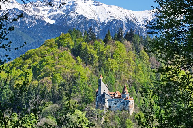 Private Movie Castles at Peles, Cantacuzino and Bran Castle Tour - Key points at a glance