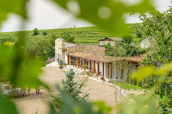 Private Tasting Expedition Along Romania’s Most Famous Wine Route - Second cellar: comparison is the real advantage