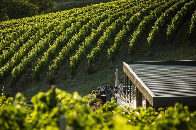 Private Tasting Expedition Along Romania’s Most Famous Wine Route - Reading the Dealu Mare vineyard setting