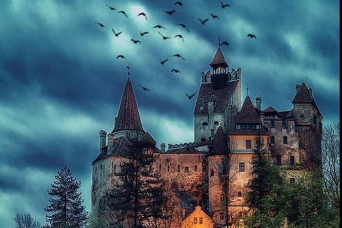 Private tour to Bran Dracula's Castle and Peleș Royal Castle - Who should book this castle day
