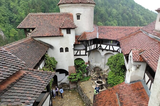 Private Tour to Dracula's Castle, Brașov City & Peleș Castle - Who should book this Bucharest day trip?