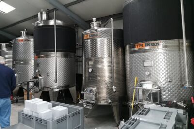 Private Wine Tasting in Cellar and the Winemaking process