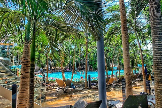 Relax and Fun at Thermal Spa Bucharest (Admission Ticket) - Palm: warm pools beneath palms and orchids
