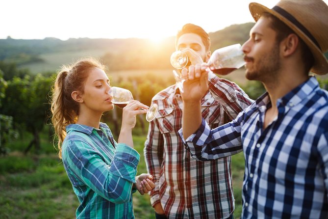 Romanian Wine Tasting - LacertA Winery: start with how Romanian wine is made