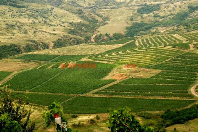 Salt Mine , Lunch at Winery & Dracula Grave - Private Tour - Casa Seciu for food, wine, and broad views