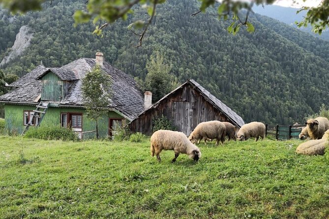 Slanic Salt Mines & Village Charms: Bucharest Day Escape - Two hours underground at Slanic