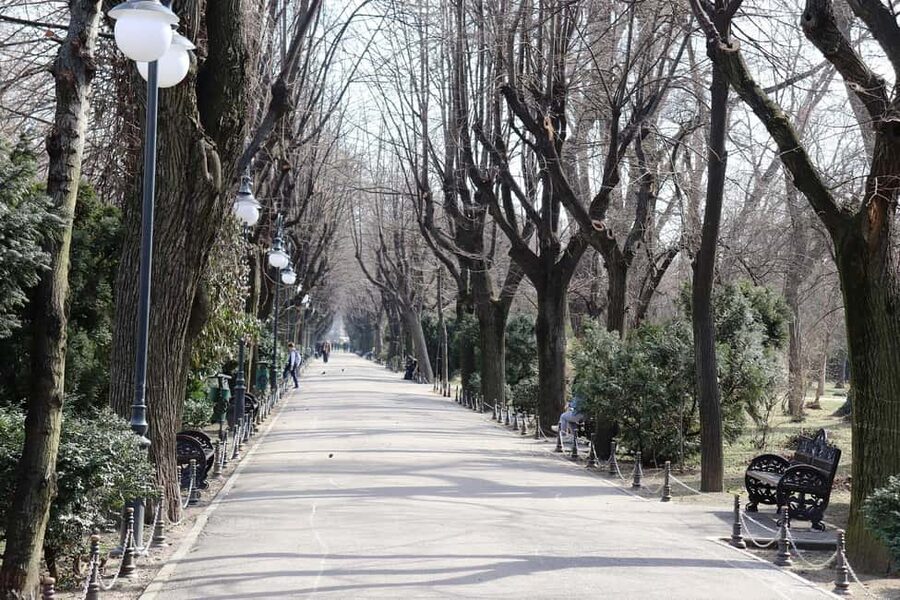 Slavery in Romania,Myths and Truths on Gypsies, Walking Tour - Key points to know before booking