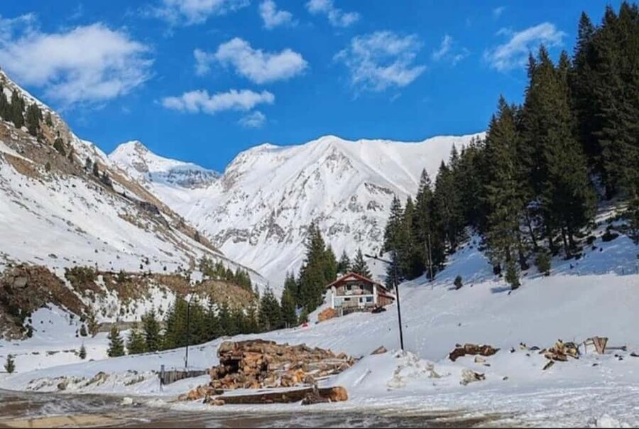 Small group Bears 'Safari' on Transfăgărășan -max 7 tourists - Key points at a glance