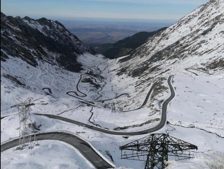 Small group Bears 'Safari' on Transfăgărășan -max 7 tourists - Why the small group matters on a long mountain day