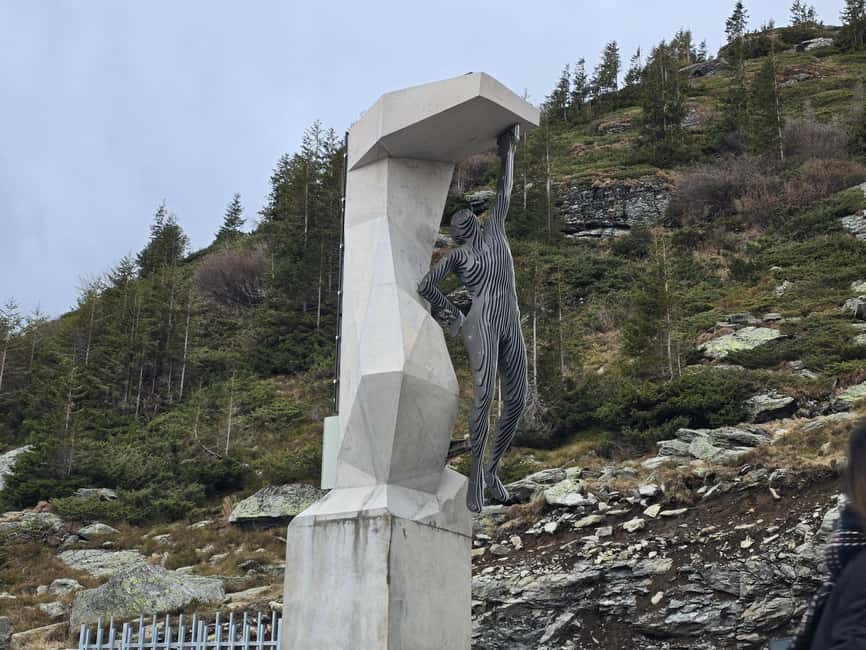Small group Bears 'Safari' on Transfăgărășan -max 7 tourists - Curtea de Argeș closes the loop