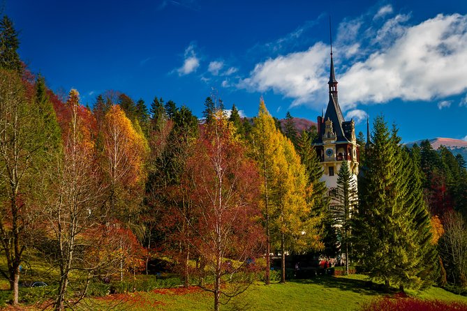 Small-Group Day Trip to Dracula's Castle, Brasov and Peles Castle - What this Bucharest to Transylvania day is really like