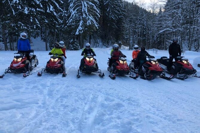 Snowmobiles, Sky Lift & Winter Sports - Private Tour - The sky lift question