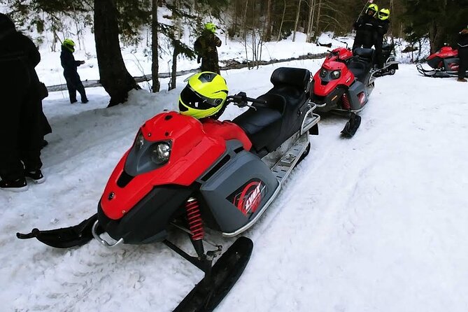 Snowmobiles, Sky Lift & Winter Sports - Private Tour - The extra 80 euro charge and real value