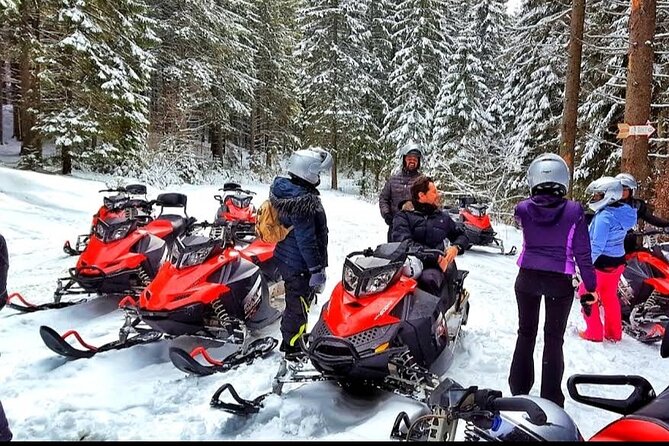 Snowmobiles, Sky Lift & Winter Sports - Private Tour - Weather, snow, and the November to April season