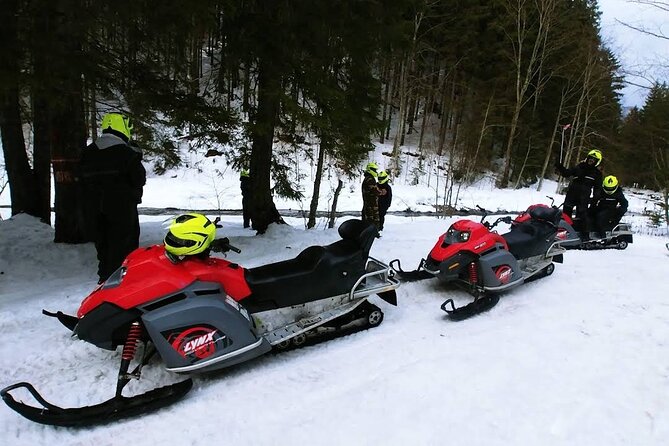 Snowmobiles, Sky Lift & Winter Sports - Private Tour - Who will enjoy this private winter outing