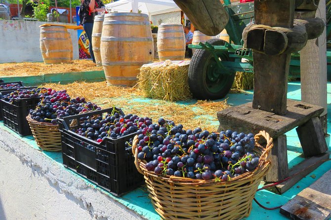 The wine route by bike - Bellu Manor and a glimpse of old Urlati