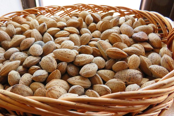 The wine route by bike - Riding back with support, water, and snacks