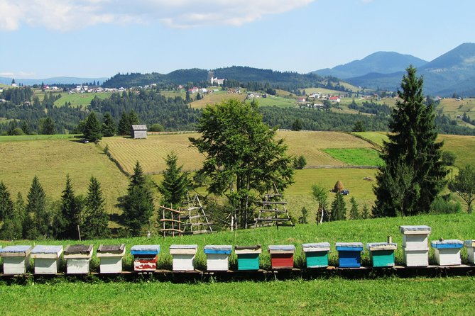 The wine route by bike - Is $114.39 a fair price?