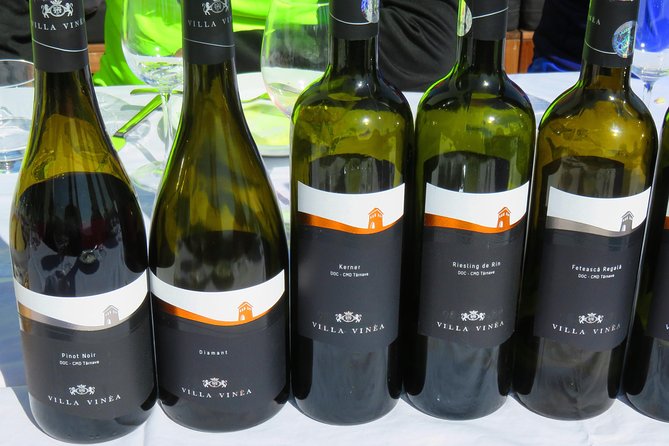 The wine route by bike - Who will enjoy this ride most?