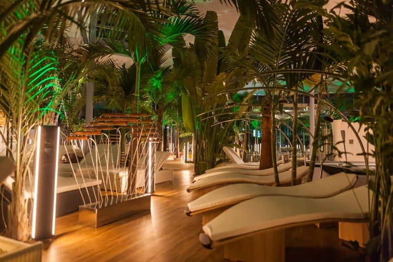 Therme:Spa Day at the biggest oasis of Relaxation《Bucharest》 - Meeting your driver at the Grand Hotel