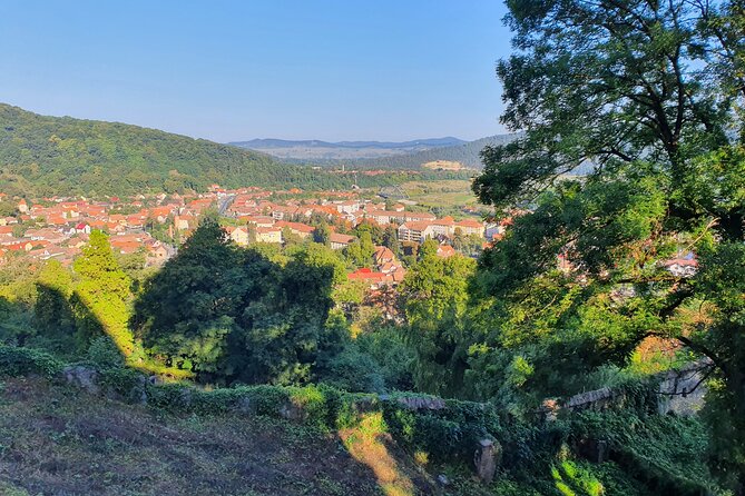 Tour of Bran CASTLE + Peles Castle + Brasov City from Bucharest - Private TOUR - Timing, comfort, and practical limits