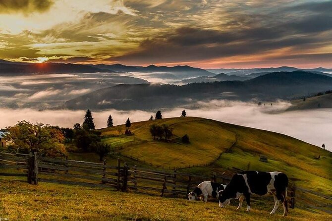 Transfer Bucharest -Brasov with Targoviste and Bran Castle visits - Brasov old town: a calmer finish to a packed day