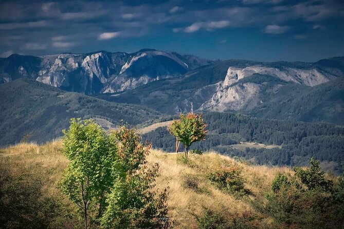 Transfer Bucharest -Brasov with Targoviste and Bran Castle visits - What private transport changes