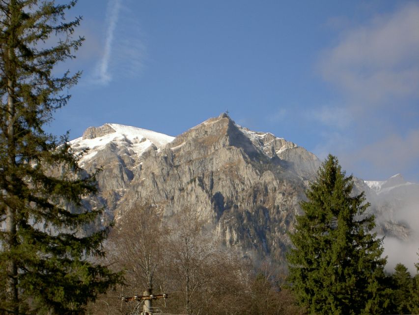 Transylvania: Cultural Full-Day Trip by Minivan - Key points to know before booking