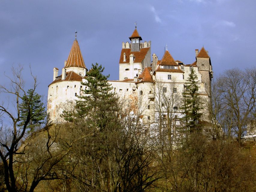 Transylvania: Cultural Full-Day Trip by Minivan - Guides, vehicles, and the private format