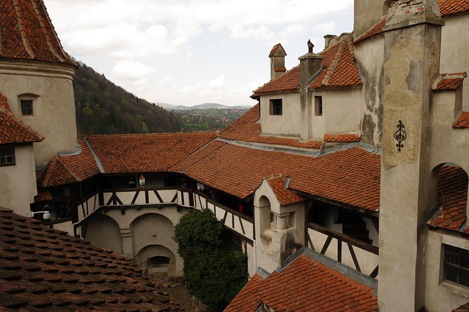 Transylvania with Dracula Castle, Bear Sanctuary and Brasov - Aventura Parc and what is actually included