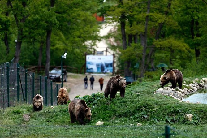 Transylvania with Dracula Castle, Bear Sanctuary and Brasov - The three-hour ride from Bucharest