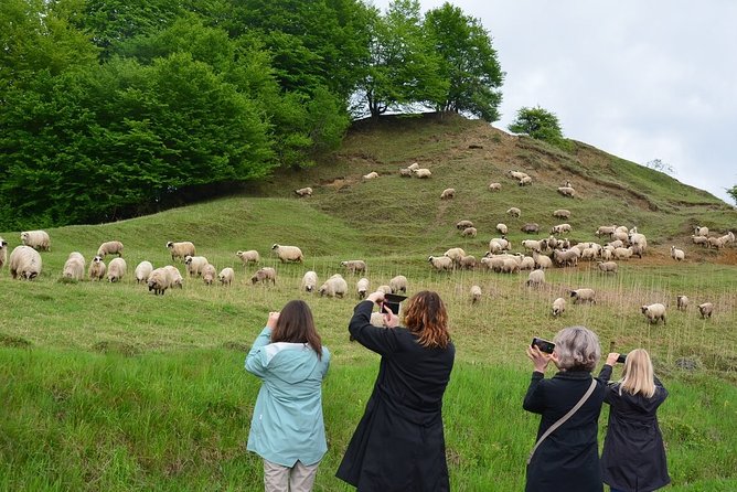 Transylvanian week - Day 4: Viscri, Prejmer, and the road to Brasov