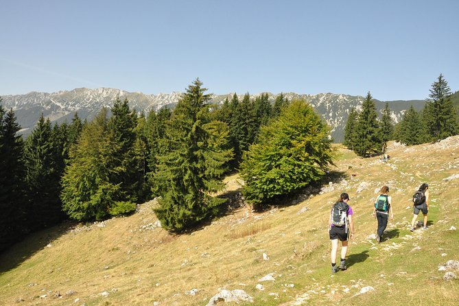 Village life in Transylvanian Carpathian mountains - 8 days - From Magura to Fundata through six villages