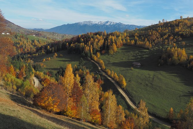 Village life in Transylvanian Carpathian mountains - 8 days - Fundata and Fundățica at 1,360 meters