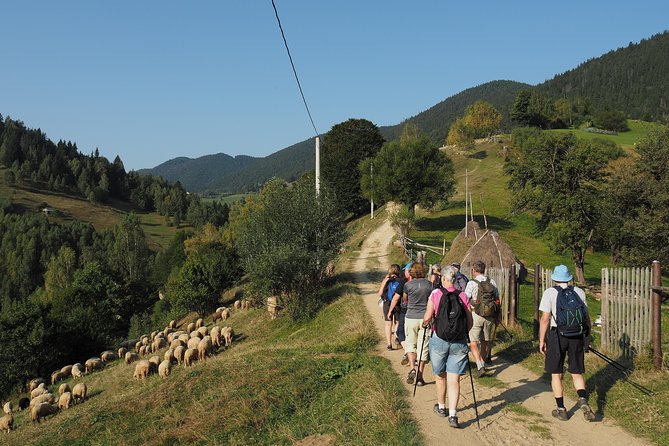 Village life in Transylvanian Carpathian mountains - 8 days - Bucegi Natural Park and the Devil’s Mill Waterfall