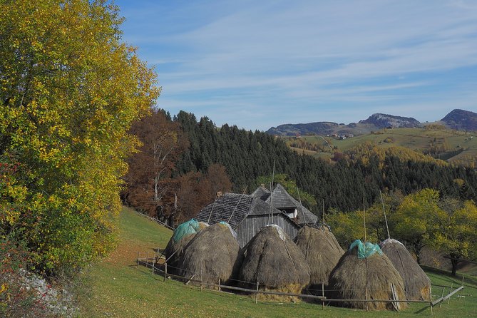 Village life in Transylvanian Carpathian mountains - 8 days - Seven Ladders Canyon and the return to Brasov