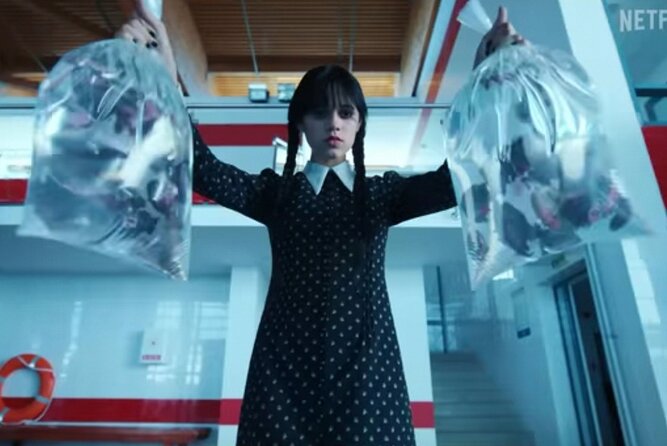 Wednesday Adams Family - Visit 6 filming locations, Private tour - The botanical garden and Nevermore’s laboratory