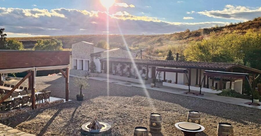 Winery touring & private wine tasting - one day private tour - Modern winery tasting near the old cellar