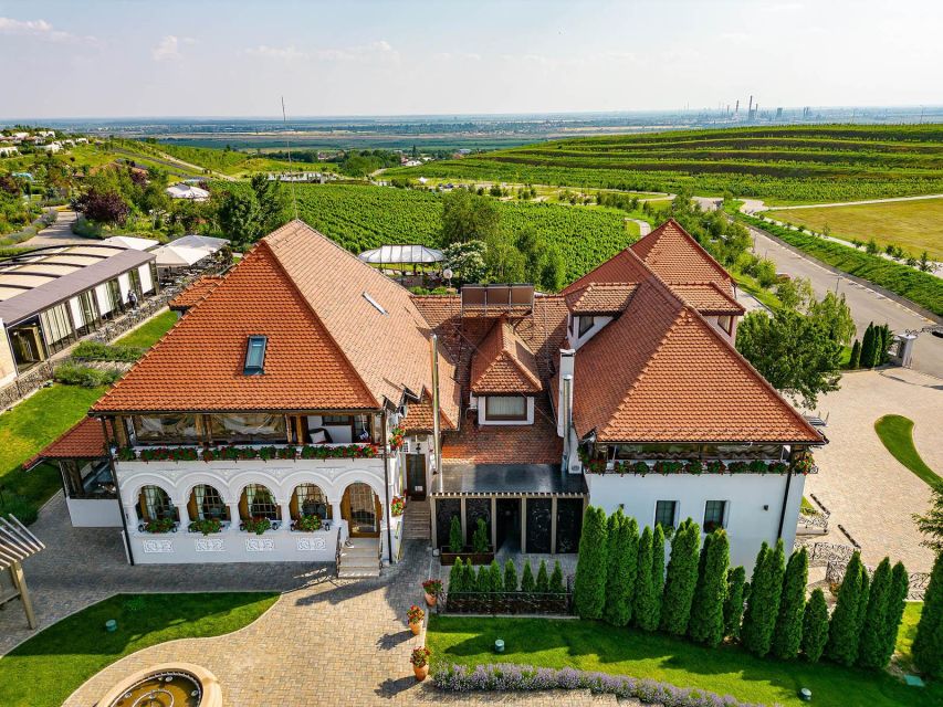 Winery touring & private wine tasting - one day private tour - Timing, comfort, and practical limits